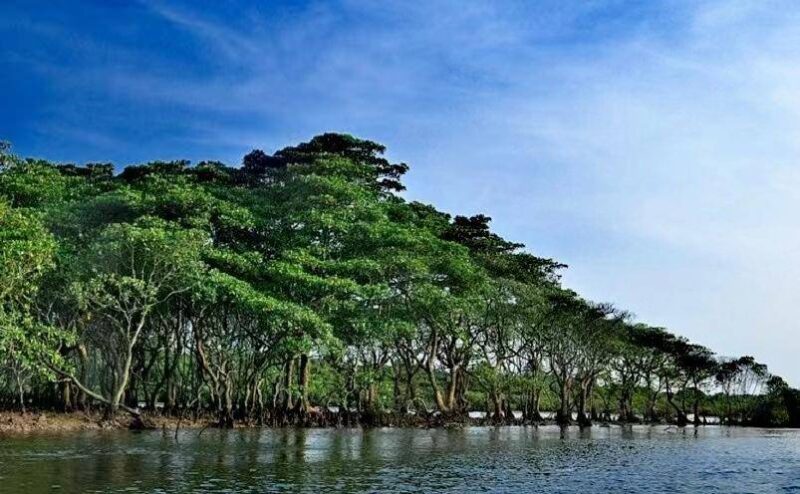 深圳有啥好玩的地方排行榜?深圳好玩的地方推荐前十-1 深圳有啥好玩的地方排行榜?深圳好玩的地方推荐前十-1