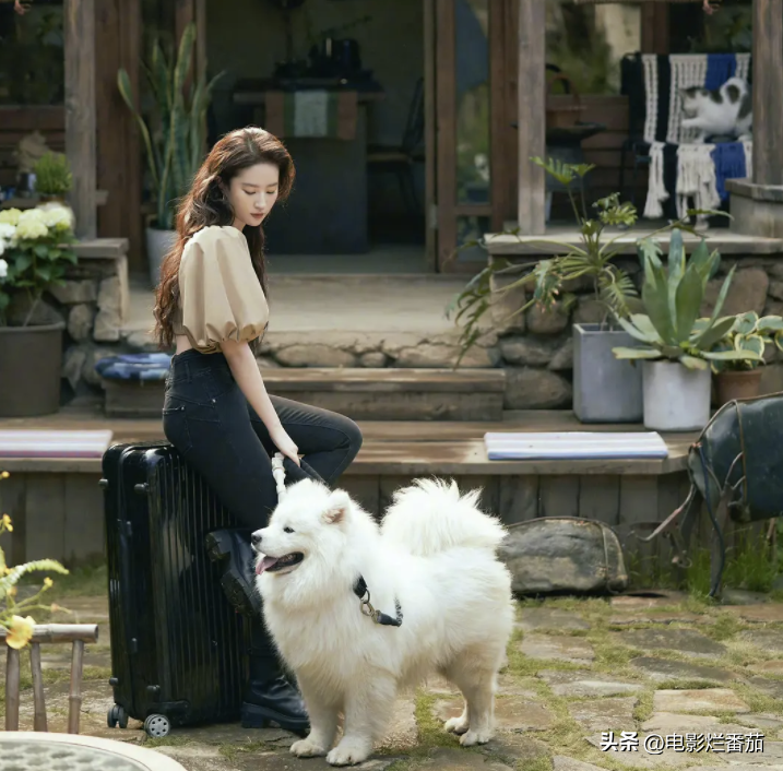 值得看十遍的电视剧排行榜-1 值得看十遍的电视剧排行榜-1