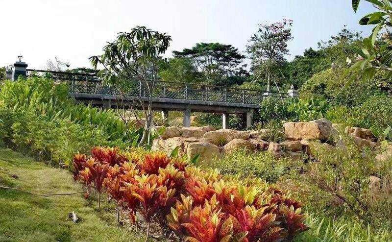 深圳有啥好玩的地方排行榜?深圳好玩的地方推荐前十-1 深圳有啥好玩的地方排行榜?深圳好玩的地方推荐前十-1