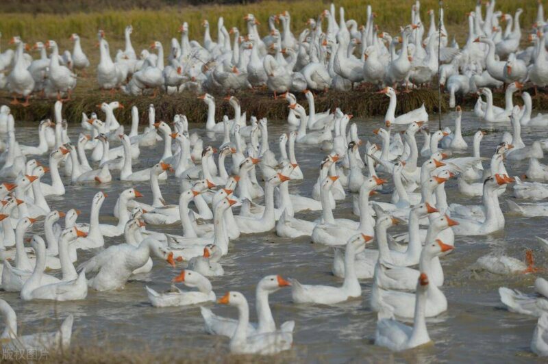 适合个人做的环保项目-1 适合个人做的环保项目-1