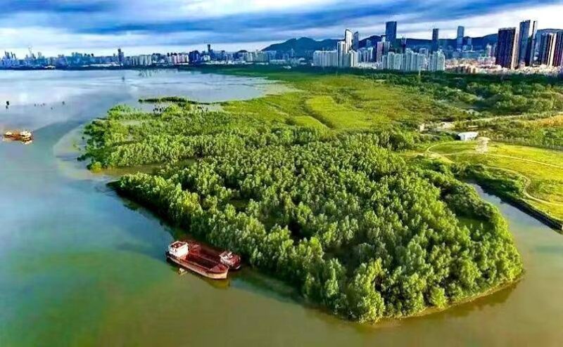 深圳有啥好玩的地方排行榜?深圳好玩的地方推荐前十-1 深圳有啥好玩的地方排行榜?深圳好玩的地方推荐前十-1