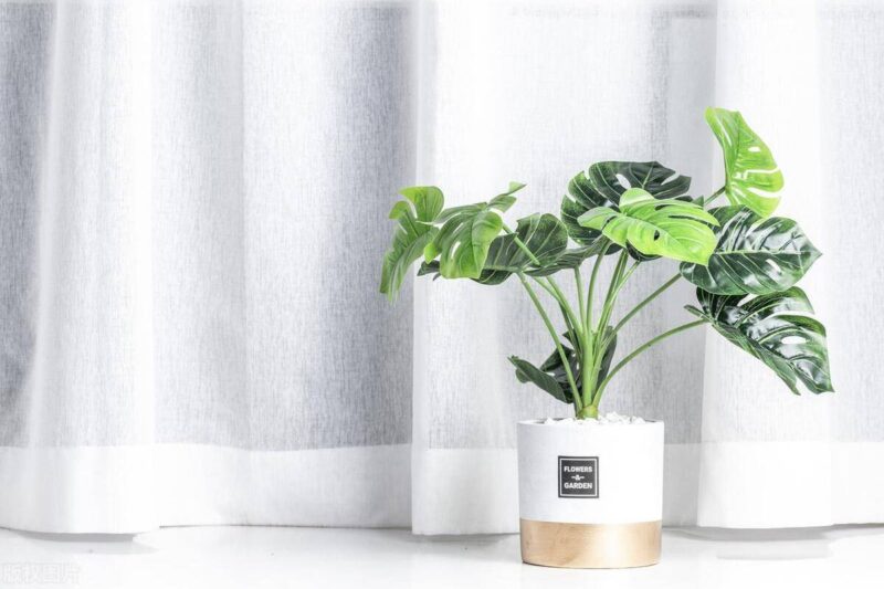 最适合穷人开的店-1