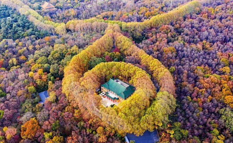 南京旅游必去十大景点推荐-1 南京旅游必去十大景点推荐-1