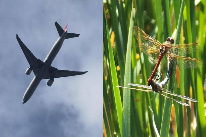 手机长焦镜头有什么用-1 手机长焦镜头有什么用-1