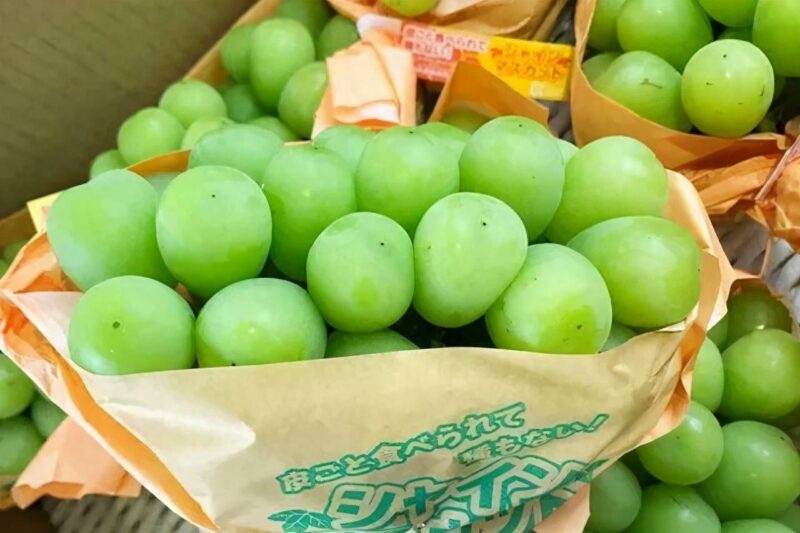 榴莲什么季节大量上市?榴莲最晚能吃到几月份-赚在家创业号