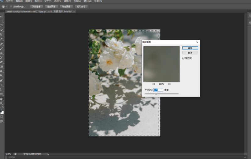 ps怎么虚化?PS背景图虚化方法总结-1 ps怎么虚化?PS背景图虚化方法总结-1
