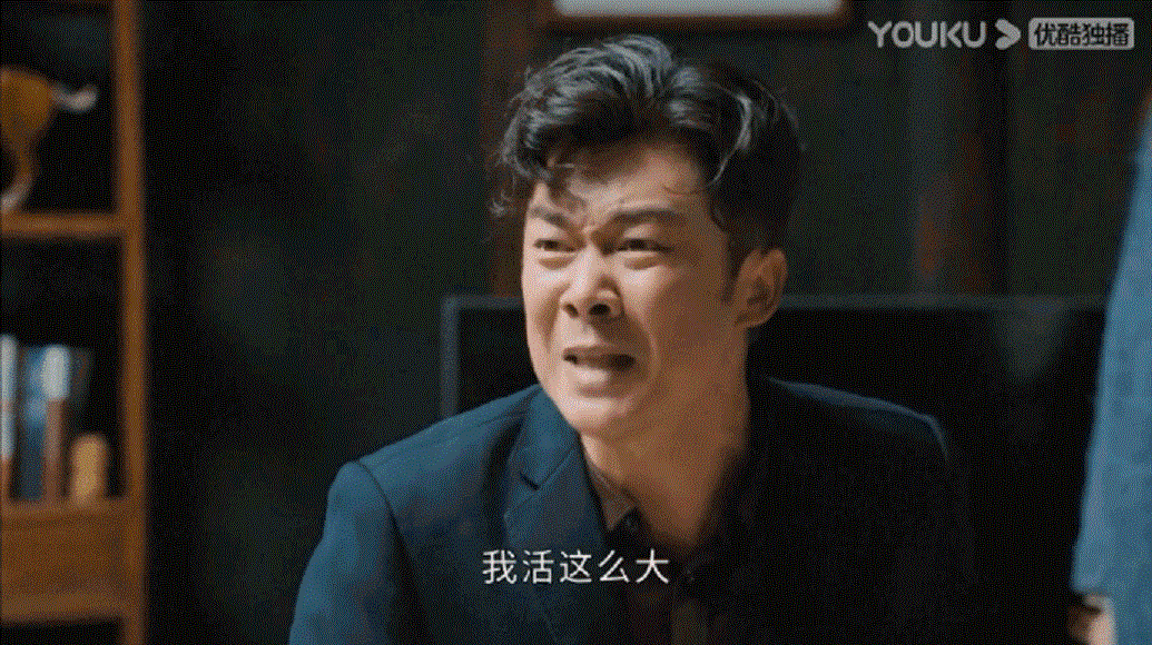 有啥好看的电视剧-1 有啥好看的电视剧-1