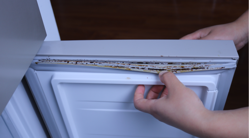 冰箱排名前十的有哪些-1 冰箱排名前十的有哪些-1