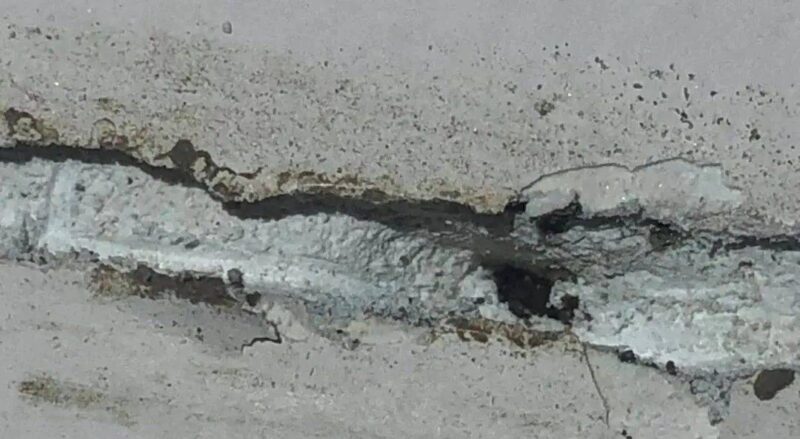 白蚁和飞蚁是一个东西吗?白蚁和飞蚁的区别-1 白蚁和飞蚁是一个东西吗?白蚁和飞蚁的区别-1