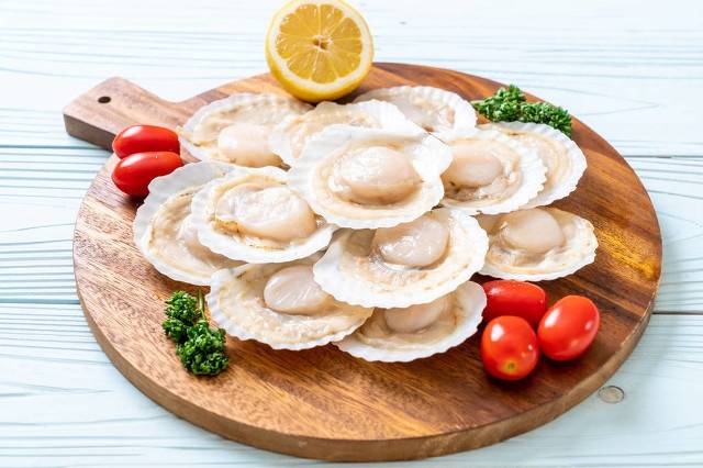 农村养殖什么最可靠?适合农村养殖的动物-1