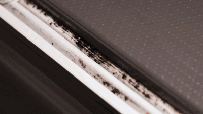 冰箱排名前十的有哪些-1 冰箱排名前十的有哪些-1