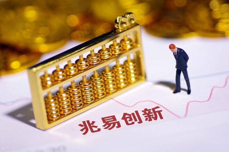 十大中国国产芯片公司-1 十大中国国产芯片公司-1