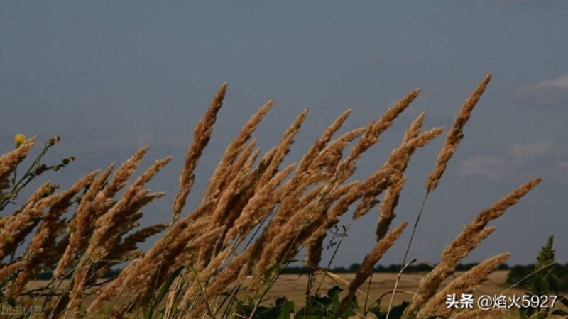 生活中常见的自然现象有哪些-1 生活中常见的自然现象有哪些-1