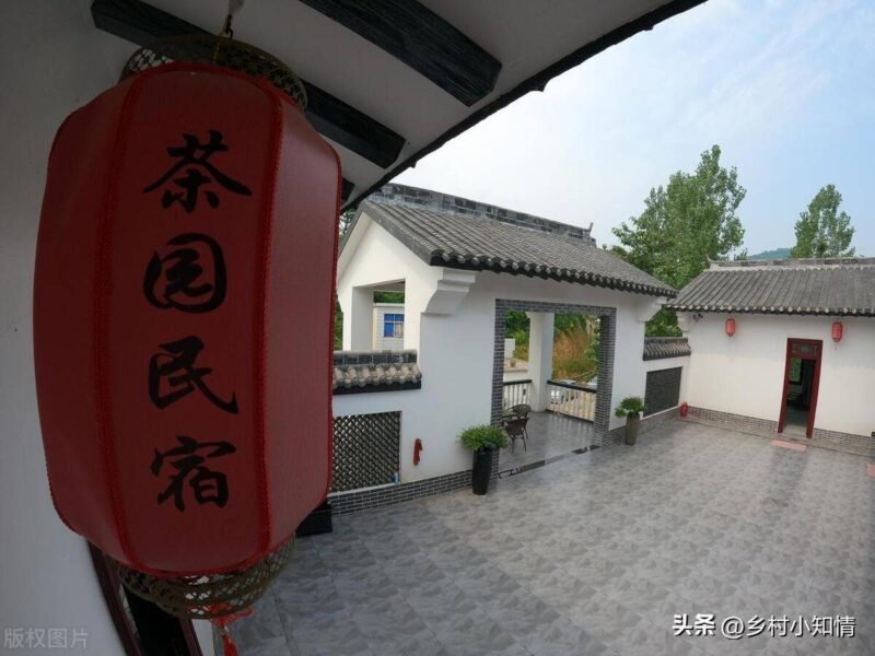 适合农村的创业项目-1