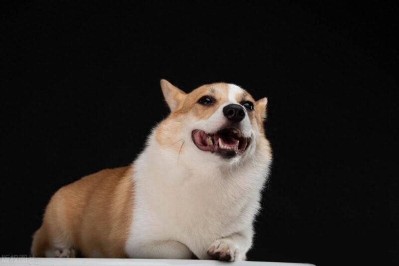 七种适合新手做的生意,参考是否适合-1