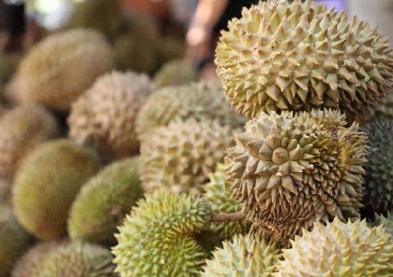 榴莲那个品种比较好吃-1