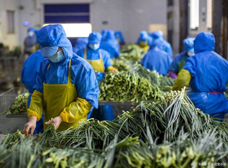 9个新颖创意创业项目-1 9个新颖创意创业项目-1