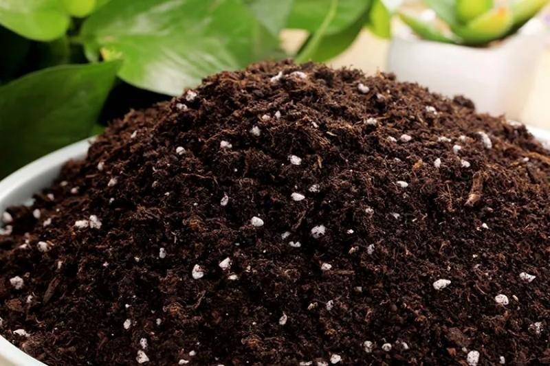 小型加工厂好项目排行榜-1 小型加工厂好项目排行榜-1