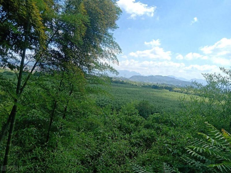 安吉旅游景点排名前十-1 安吉旅游景点排名前十-1