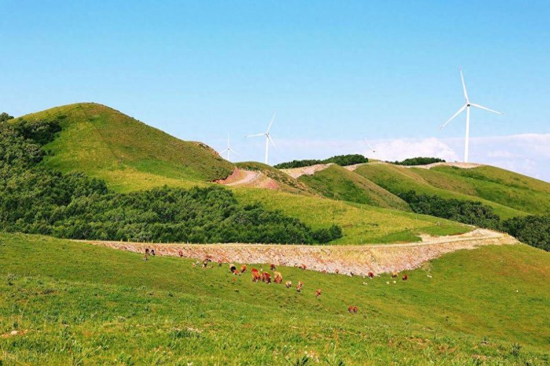 安吉旅游景点排名前十-1 安吉旅游景点排名前十-1