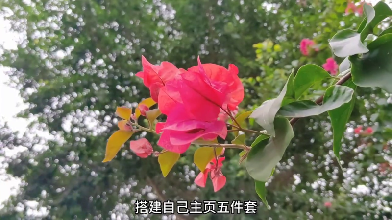 新手做抖音怎么起号?抖音7天养号详细教程-1 新手做抖音怎么起号?抖音7天养号详细教程-1