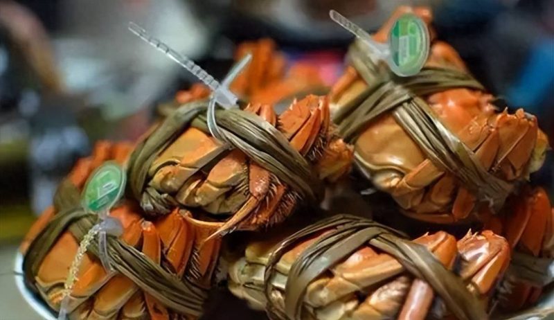 一个新手怎么做直播带货-1