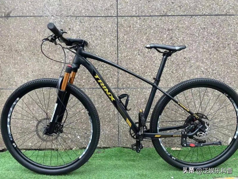 自行车品牌排行榜前十名-1 自行车品牌排行榜前十名-1