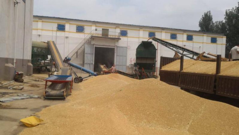 农村办厂项目农村致富好门路-1 农村办厂项目农村致富好门路-1