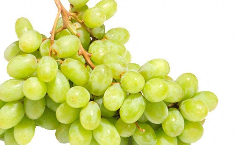 目前最好的葡萄品种排名榜-1 目前最好的葡萄品种排名榜-1