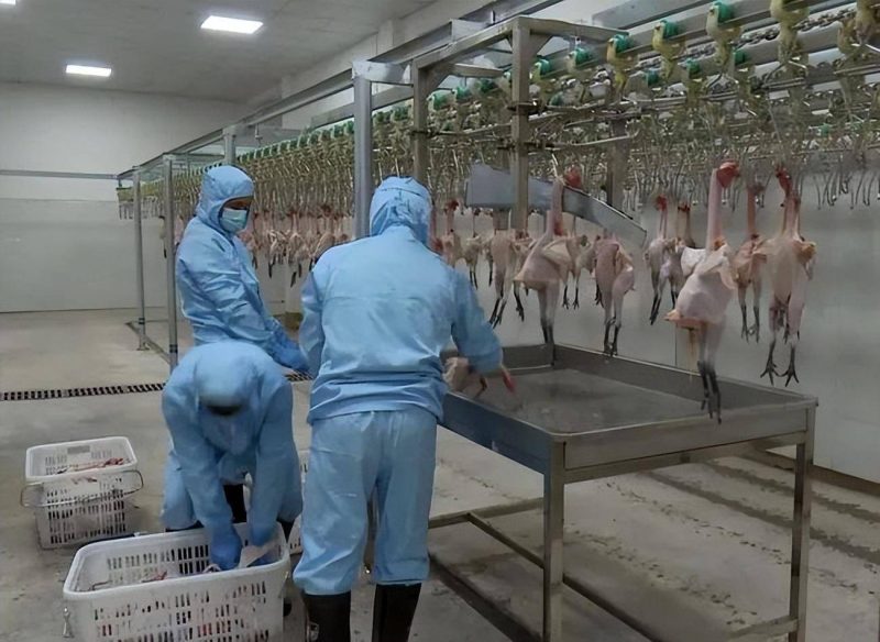 农村办厂项目农村致富好门路-1 农村办厂项目农村致富好门路-1