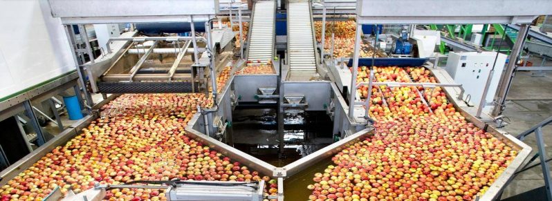 农村办厂项目农村致富好门路-1 农村办厂项目农村致富好门路-1