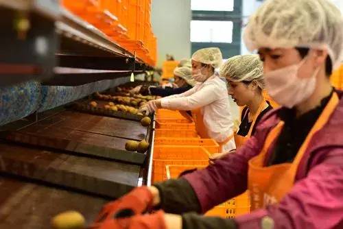 水产养殖业国家扶持的项目有哪些?新型水产养殖项目总结-1 水产养殖业国家扶持的项目有哪些?新型水产养殖项目总结-1