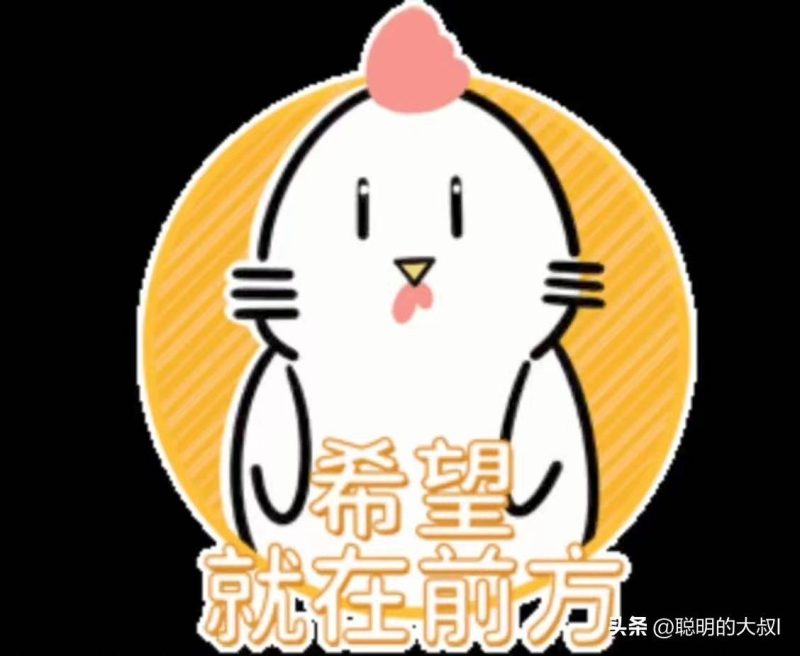 如何在今日头条发文章-1