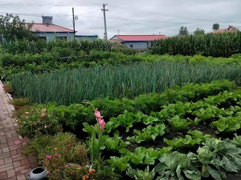 适合在农村做的25个项目-1 适合在农村做的25个项目-1