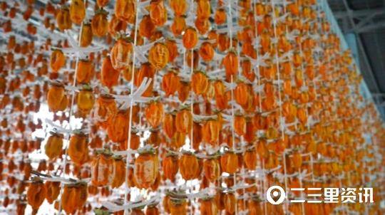 【创业100】跨行做柿饼年销售额破亿元,他说想带乡亲增收致富-1 【创业100】跨行做柿饼年销售额破亿元,他说想带乡亲增收致富-1