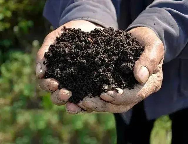 水产养殖业国家扶持的项目有哪些?新型水产养殖项目总结-1 水产养殖业国家扶持的项目有哪些?新型水产养殖项目总结-1