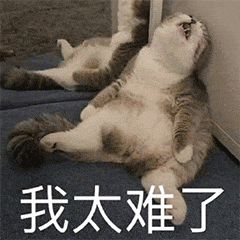 气象要素有哪些-赚在家创业号