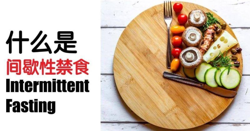 喂食时间怎么做(科学合理的安排进食时间)-1