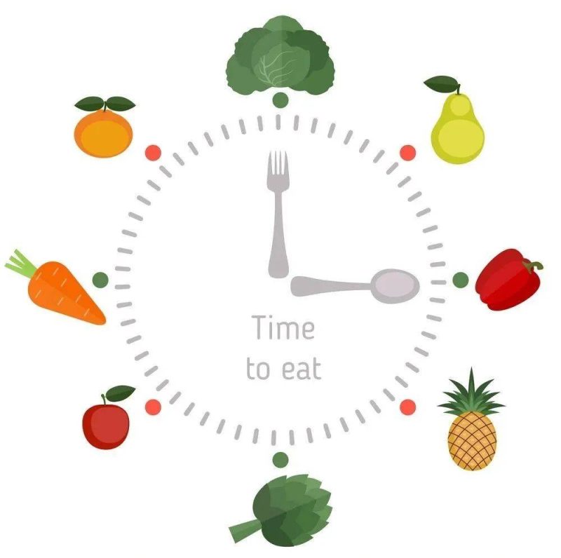 喂食时间怎么做(科学合理的安排进食时间)-1