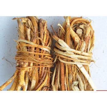 五指毛桃有什么药用价值(五指毛桃图片及药用功效)-1 五指毛桃有什么药用价值(五指毛桃图片及药用功效)-1