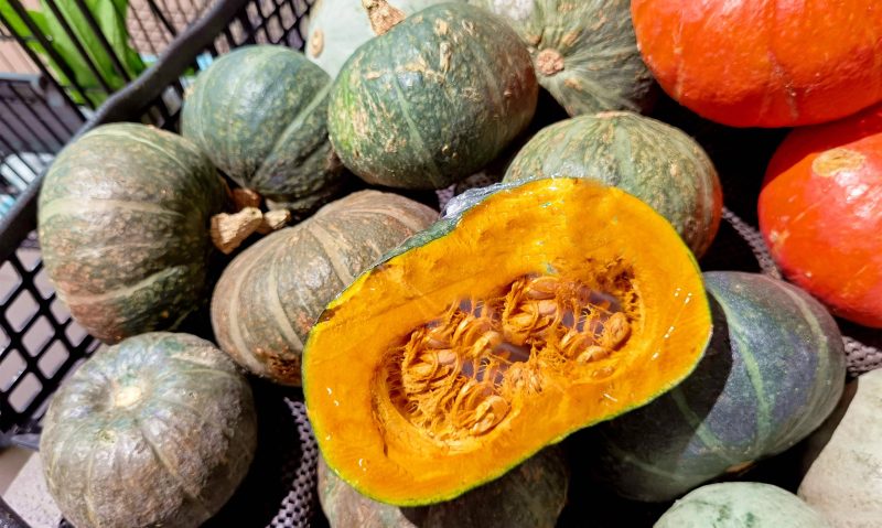 南瓜品种哪个口感最好(最甜的南瓜品种排名前十)-1 南瓜品种哪个口感最好(最甜的南瓜品种排名前十)-1