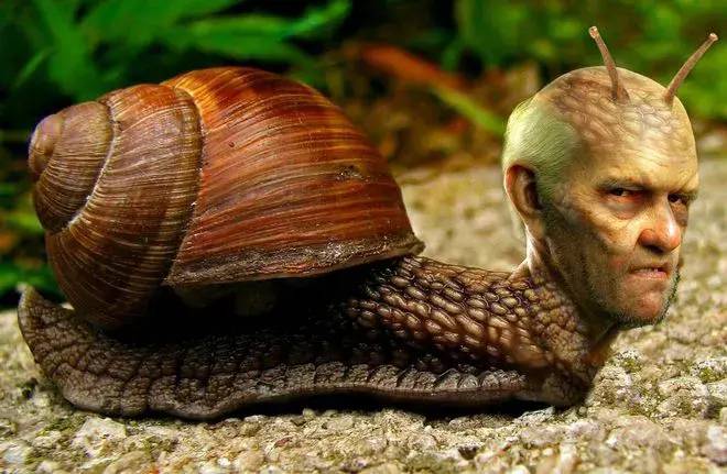 世界上牙齿最多的动物是什么?-1 世界上牙齿最多的动物是什么?-1