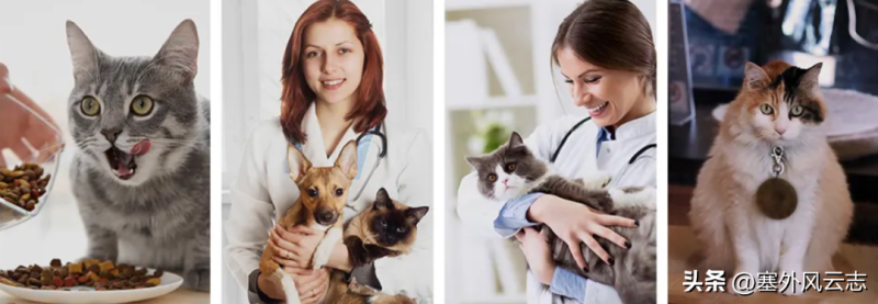 10个适合白手起家的创业项目-1