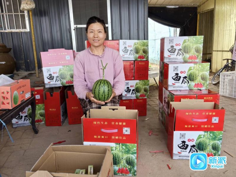 探寻经济活力“潍”面孔丨张竹丽：在乡土中生长创业梦-赚在家创业号