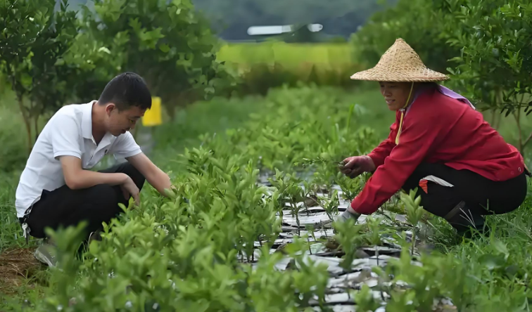农村创业致富做什么好?2025年农村致富项目（亲身体验）分享真实可行的初期创业路子-专在家创业网