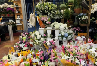 花店开在哪里生意好?多少费用?2025年最新开花店的选址避坑指南-专在家创业网