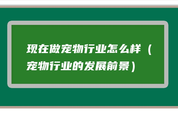 现在做宠物行业怎么样（宠物行业的发展前景）