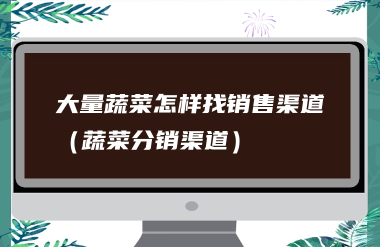 大量蔬菜怎样找销售渠道（蔬菜分销渠道）