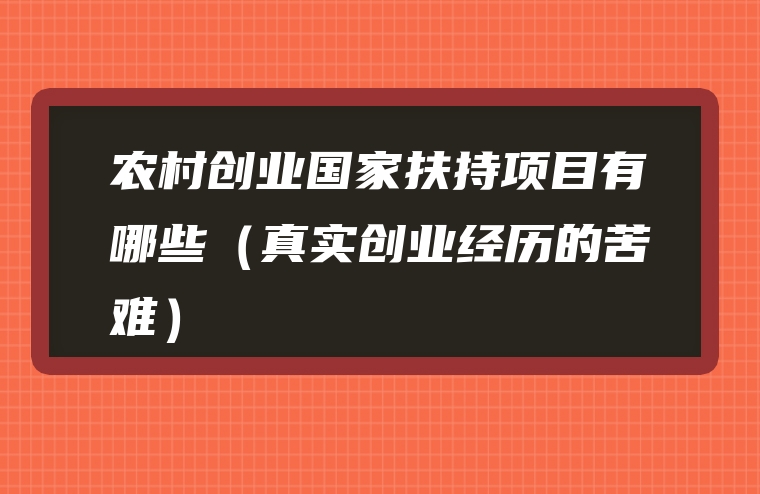 农村创业国家扶持项目有哪些（真实创业经历的苦难）