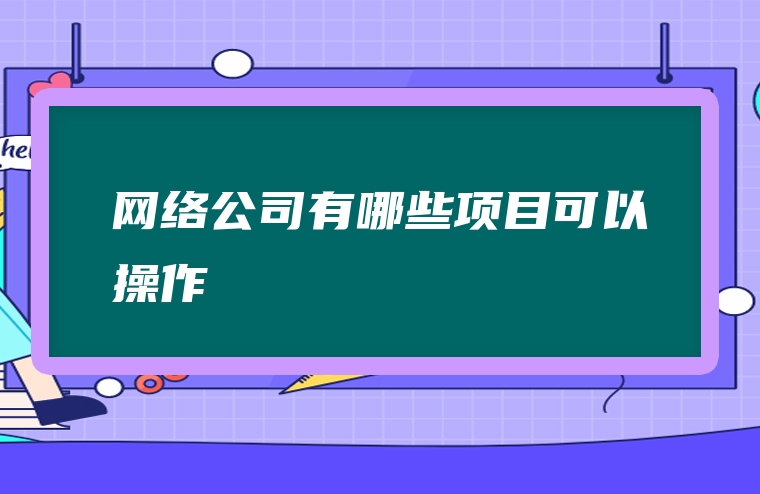 网络公司有哪些项目可以操作